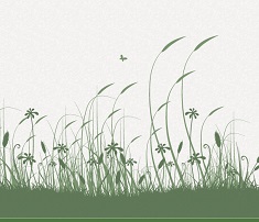 logo et illustration nature