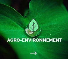 conseil en communication, eco design, site web, environnement, agriculture, nature, développement durable