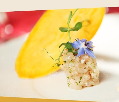 Design & intégration du site du restaurant Le Micocoulier