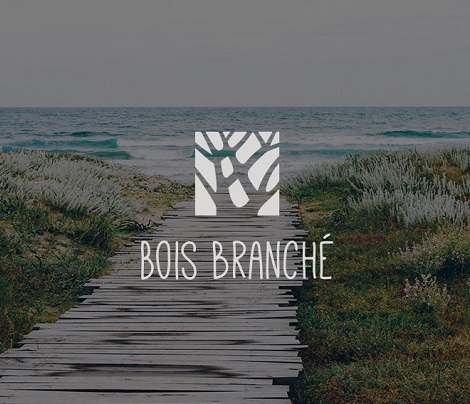 Identité graphique & logo Bois Branché, objets en bois flotté